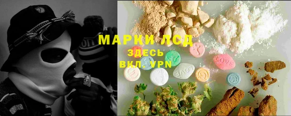 стаф Кодинск