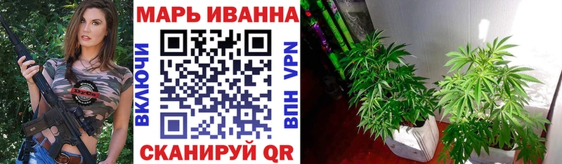 Купить закладки  Нестеров  Бошки Шишки THC 21% 